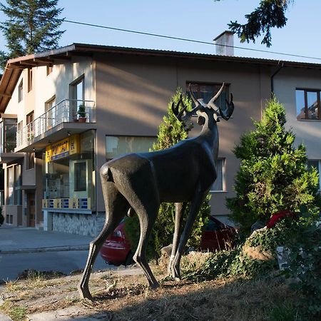 Guest House Elena Velingrad Exterior photo