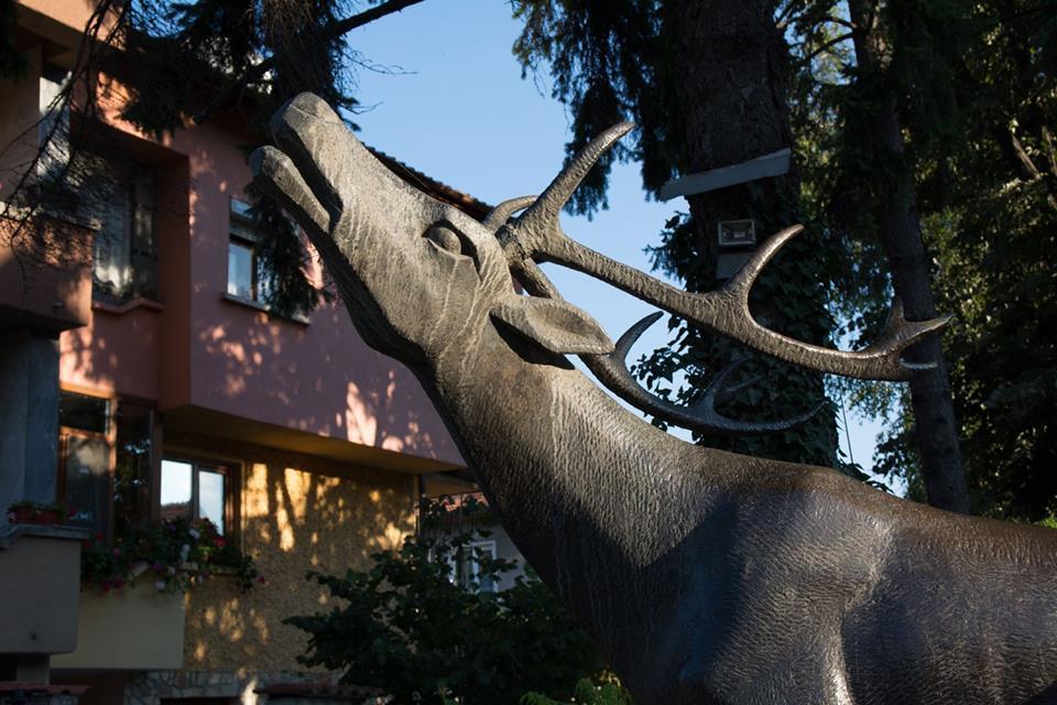 Guest House Elena Velingrad Exterior photo